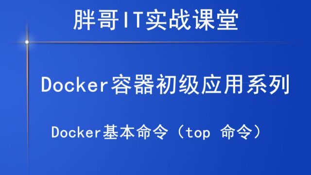 Docker基本命令(top 命令)下2