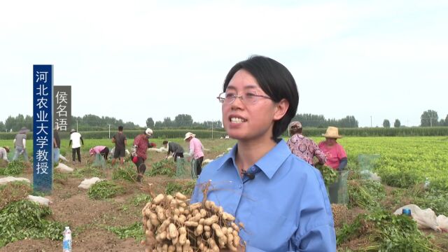 小花生“种”出大幸福!