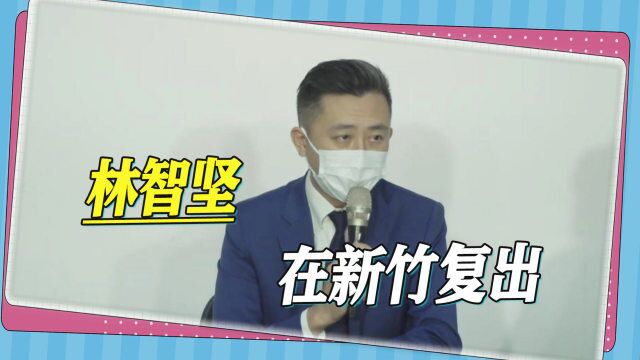 岛内“论文抄袭”成风,林智坚趁机在新竹复出,发言后遭嘲讽