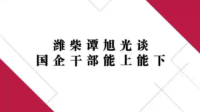 潍柴谭旭光谈国企干部能上能下