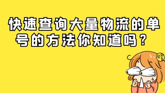 多个快递单号物流动态信息一键查询导出的方法步骤?