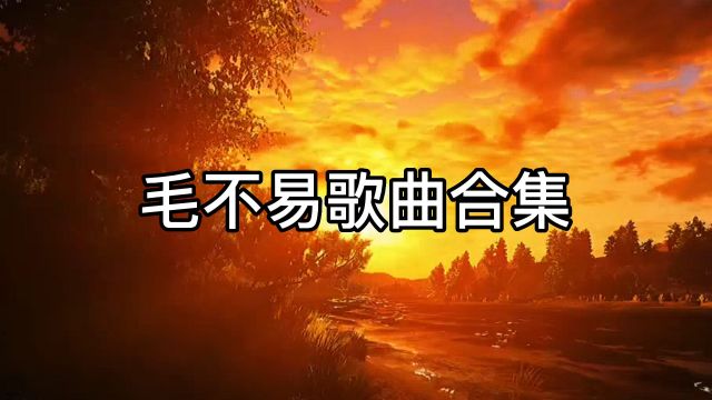 毛不易歌曲合集,《看得最远的地方》《不染》《胡同》《203》