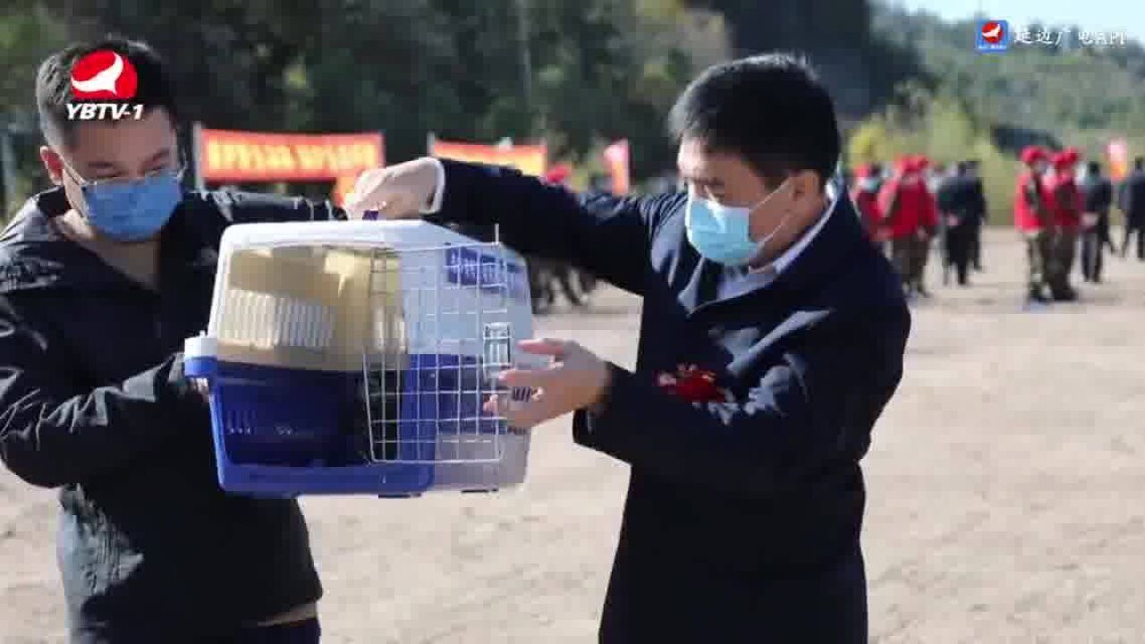 “9.26”吉林省生态日野生动物放归自然活动在和龙举行