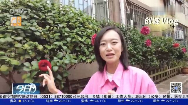 市南区八大峡街道:美化楼院环境,共创美好家园