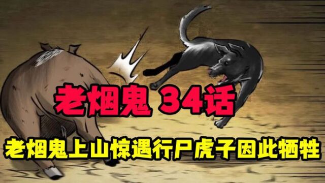 【老烟鬼】老烟鬼上山寻人,惊遇野猫作祟,确没想到虎子因此牺牲