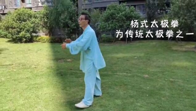 杨氏太极拳