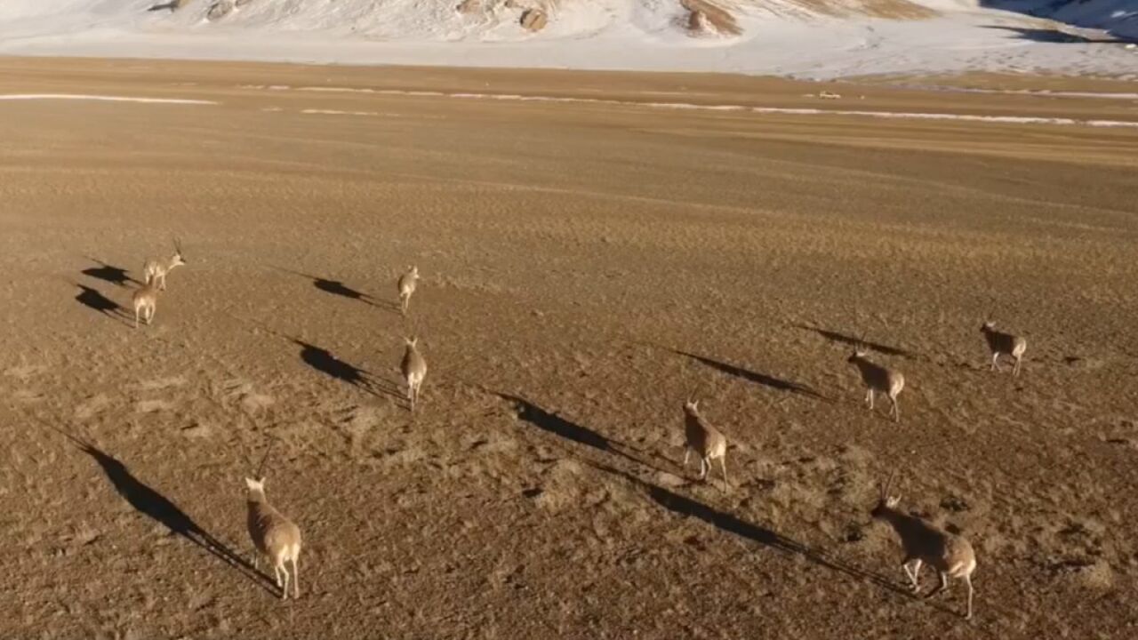 国家公园设立一周年 封面新闻见证生物多样性之美