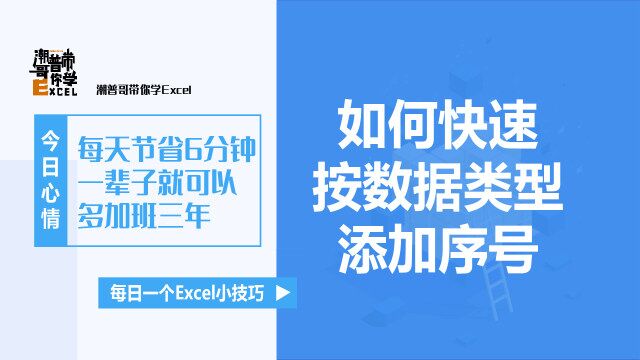 Excel中如何按数据类型分别添加序号