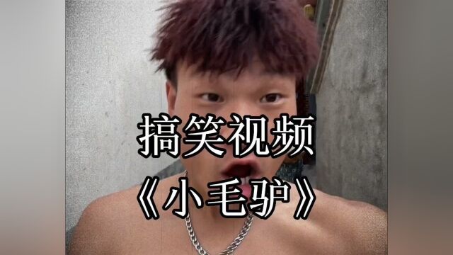 《小毛驴》 #搞笑