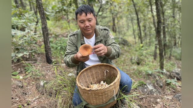 兄弟们,这种菌子你们都没见过吗?