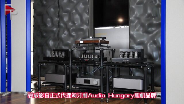 Audio Hungary C200 & P200前后级放大器FiPlay