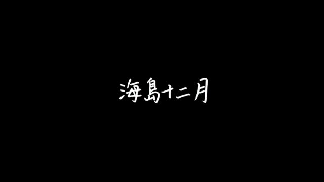 海口经济学院南海电影学院陈佳海团队《海岛十二月》 