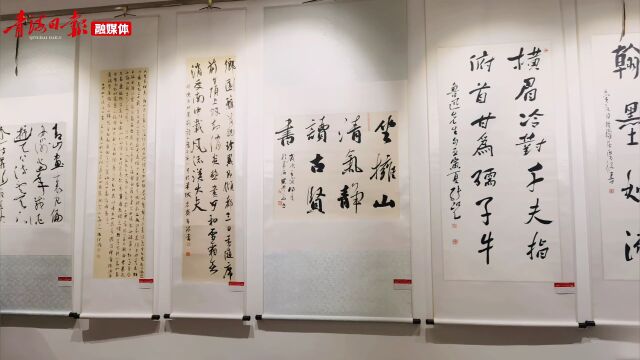 青海ⷮŠ广东书法展在西宁开展