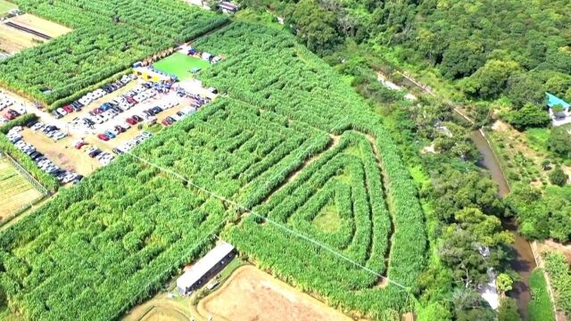 40000平方米!中山五桂山这片绿植迷宫等你来探险