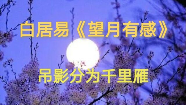 《望月有感》唐 白居易 共看明月应垂泪,一夜乡心五处同.