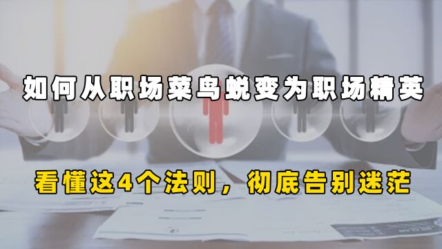 如何从职场菜鸟蜕变为职场精英?看懂这4个法则,彻底告别迷茫!