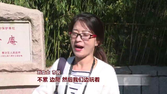 打开秋日青岛丨崂山红叶映山海 竹子庵公园捕捉秋日气息