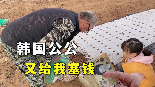 玉涵来韩国乡下看公公,一大早就收到一沓子钱,公公这是啥意思?