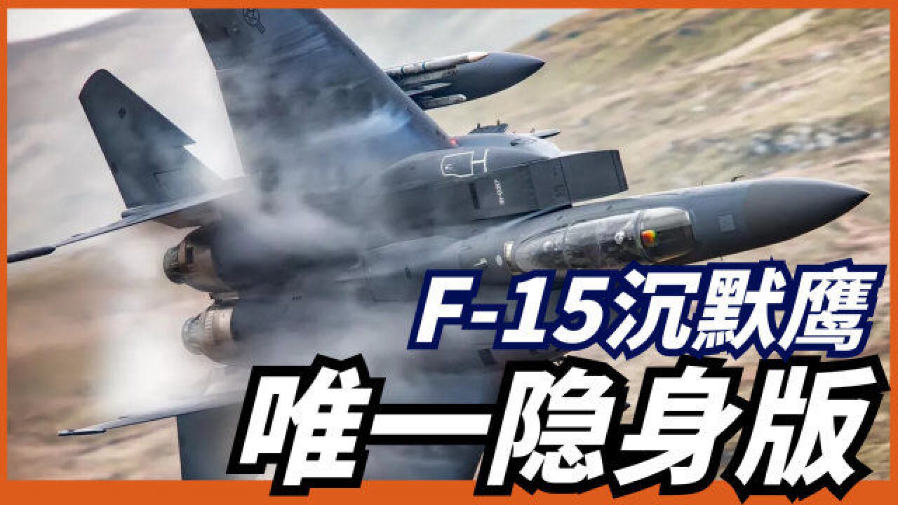 F15也要玩隐身?面世13年,号称能对抗F35,最终为何一架都卖不出?