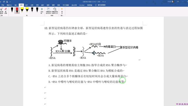 高中生物试题精析202210181