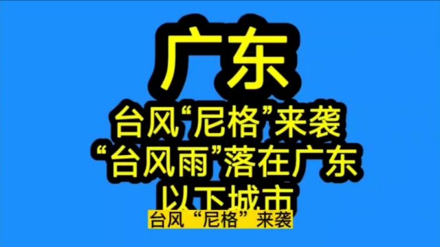 广东!台风“尼格”来袭!“台风雨”落在广东以下城市