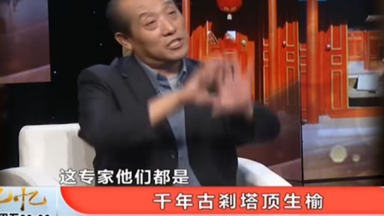 通州燃灯塔有四绝,专家讲述四绝之一:塔顶上长着一棵榆树