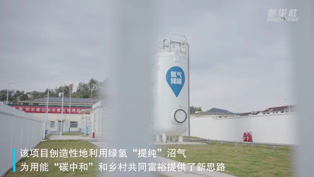 浙江丽水:乡村氢能生态示范工程用绿氢“提纯”沼气