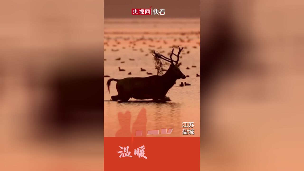 感受中国湿地色彩之美