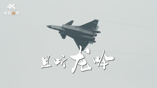 且聽龍吟！4K純享中國航展飛行表演