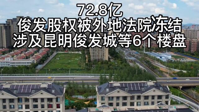 72.8亿,俊发7公司股权被外地法院冻结,涉俊发城等6盘!