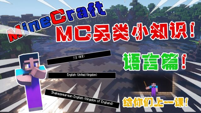 我的世界:MC另类冷知识之语言篇