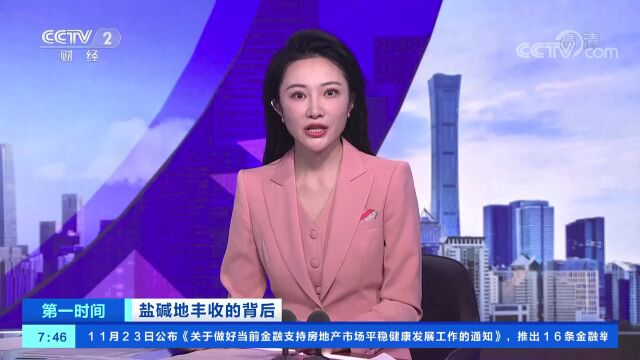 盐碱地丰收的背后 河南濮阳:土壤改良成效明显 盐碱地里稻米飘香