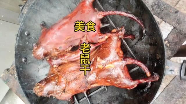 难得发现特大山老鼠,一只一斤多,特别难得一见#记录真实生活 #户外 #老鼠