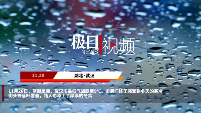 【视频】好冷!武汉这波降温“冻”真格了