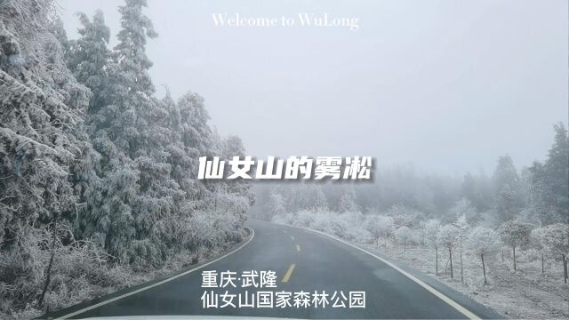 20221208武隆仙女山游玩指南