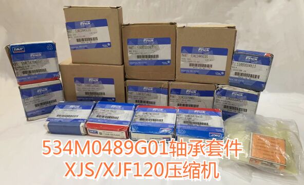 534M0489G01轴承套件XJSXJF120约克工业冷冻螺杆丙烷离心BOG压缩机维修保养