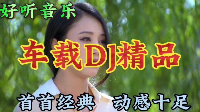 车载DJ精品