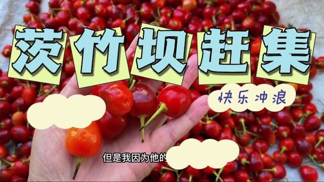 #创作灵感 茨竹坝赶集遇到了像樱桃一样的辣椒,还没研究出来要怎么吃!#我的乡村生活