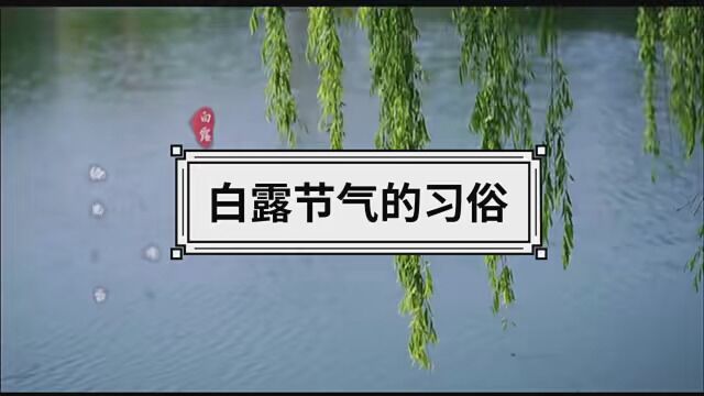 #白露 #传统文化 #民间习俗 今天晚上2307交白露节,你知道白露节气有哪些习俗吗?