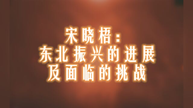 宋晓梧:东北振兴的进展及面临的挑战