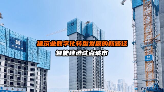 建筑业数字化转型发展的新路径,智能建造试点城市