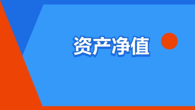 “资产净值”是什么意思?