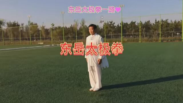 #东岳太极拳一路.带拳谱.