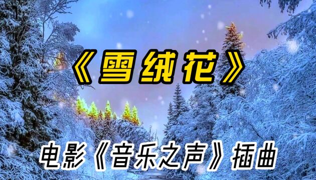 电影《音乐之声》插曲《雪绒花》,永远流传的世界经典名曲