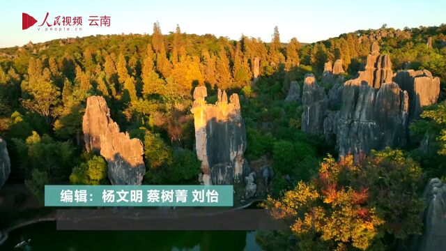 读景 | 24张美图 回放2022年彩云之南春夏秋冬