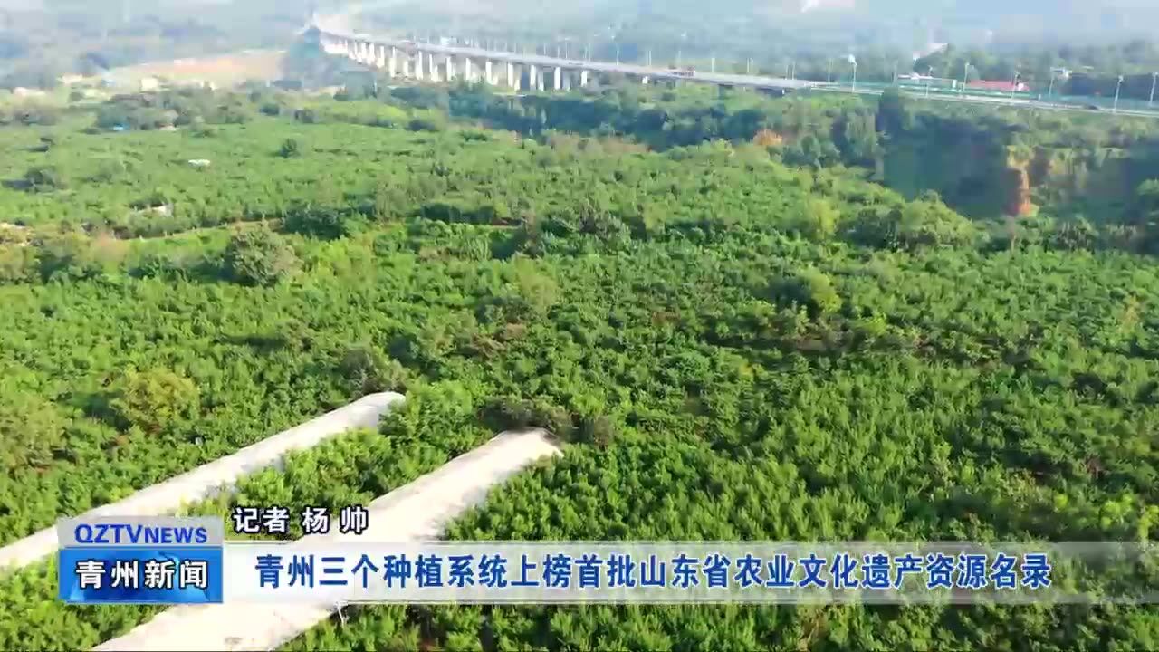 青州三个种植系统上榜首批山东省农业文化遗产资源名录