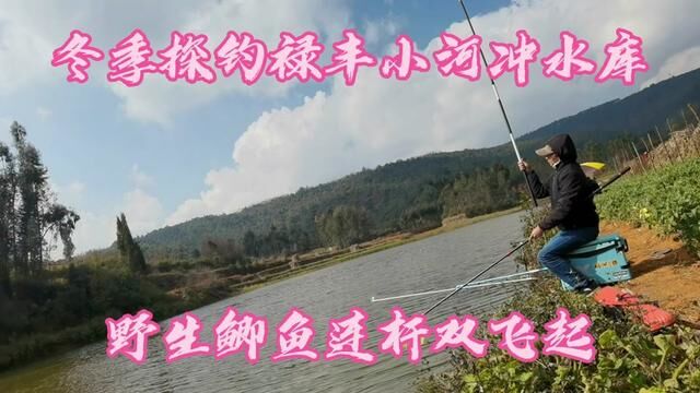 昆明周边70公里秧田箐水库探钓,新开水库50一天,野生鲫鱼连杆起 #钓友 #垂钓 #钓鲫鱼 #户外垂钓 #水库钓鱼 #爱钓鱼