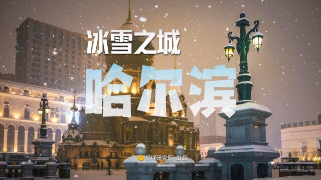 这个冬天,去哈尔滨看雪吧! 