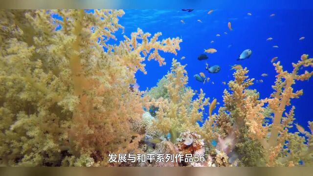 56企业篇商品价值传统生产要素自然资源【张延年博主】