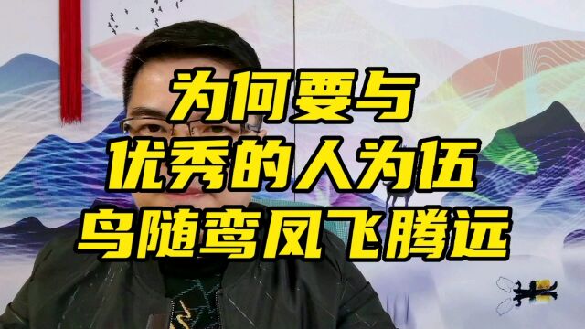 为何马云曾说要与优秀的人为伍?鸟随鸾凤飞腾远,人伴贤良品自高 #国学智慧 #人生感悟 #人生智慧